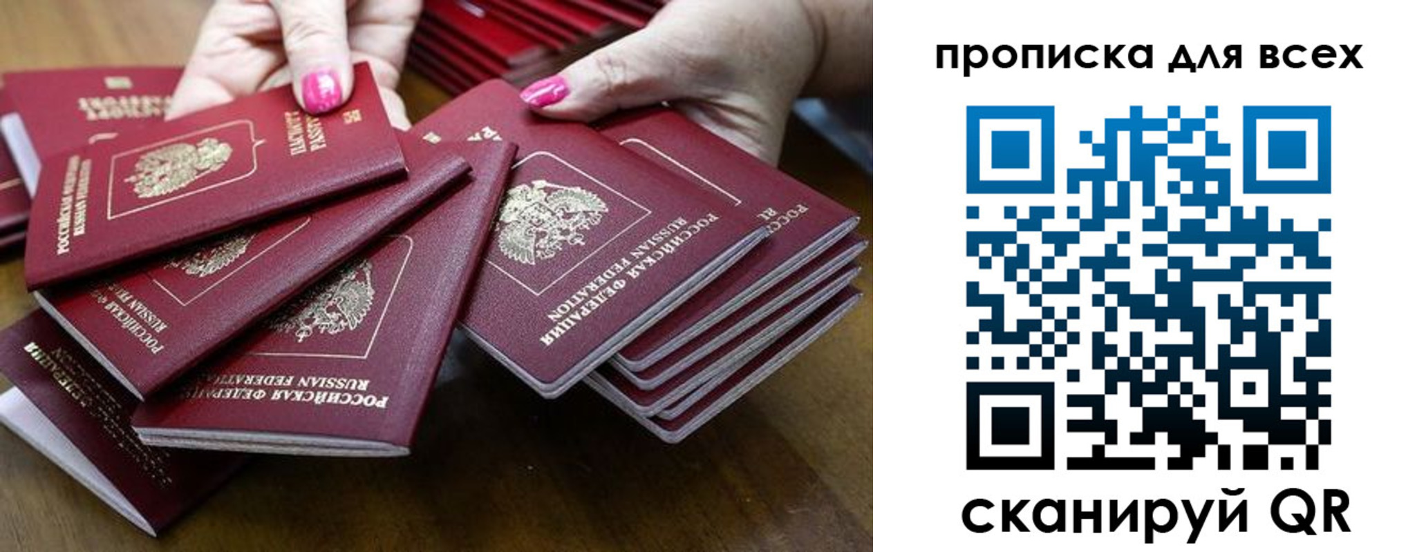 прописка гарантия в Приморском крае